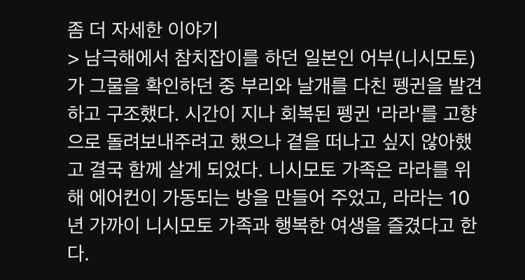 02.jpg