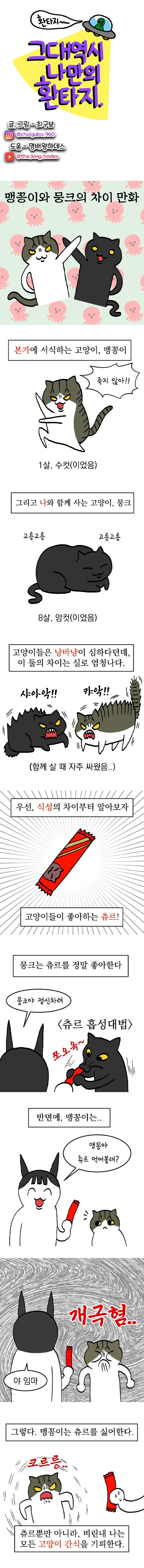 20240903 맹꽁뭉크_01.jpg